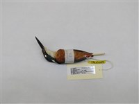 藏品(翠鳥)的圖片